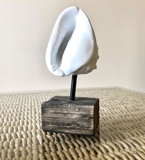 Sea Shells On Banyan Apartment - Accommodation Directory 9