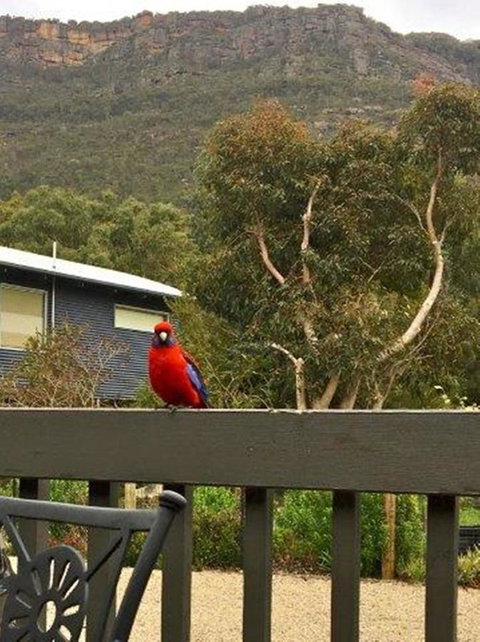 Kangurra Holiday House - Accommodation Directory 15
