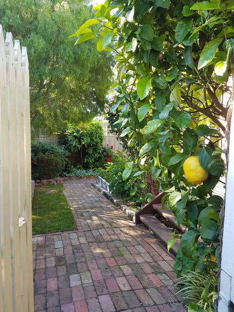 Healesville House - Fig Tree House - Accommodation Directory 17