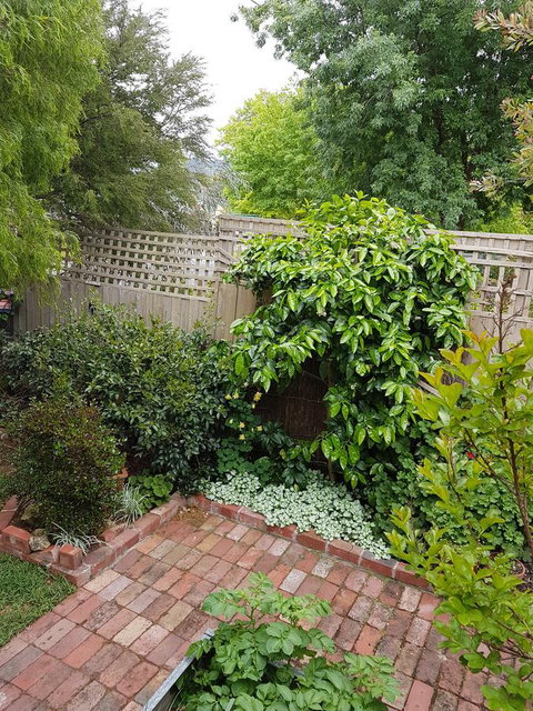 Healesville House - Fig Tree House - Accommodation Directory 21
