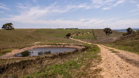 Tintagel - Accommodation Directory 31