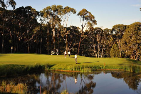 RACV Goldfields Resort - Accommodation Directory 31