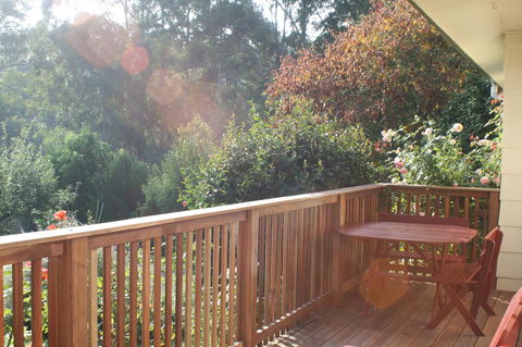 Strathmore Farm B&B - Accommodation Directory 6
