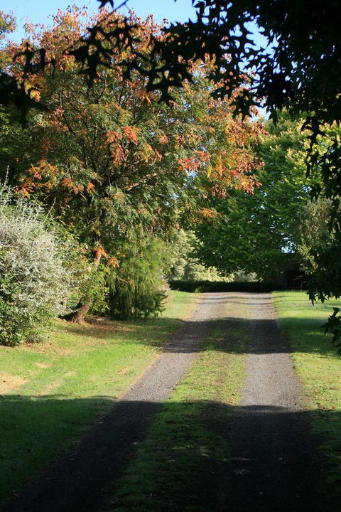 Strathmore Farm B&B - Accommodation Directory 27