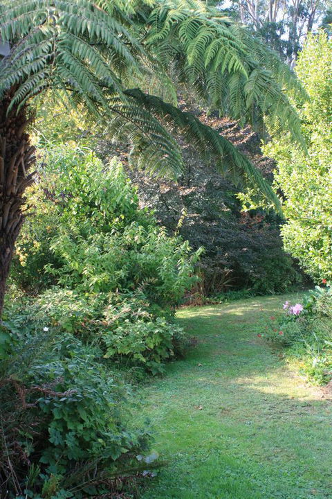 Strathmore Farm B&B - Accommodation Directory 21