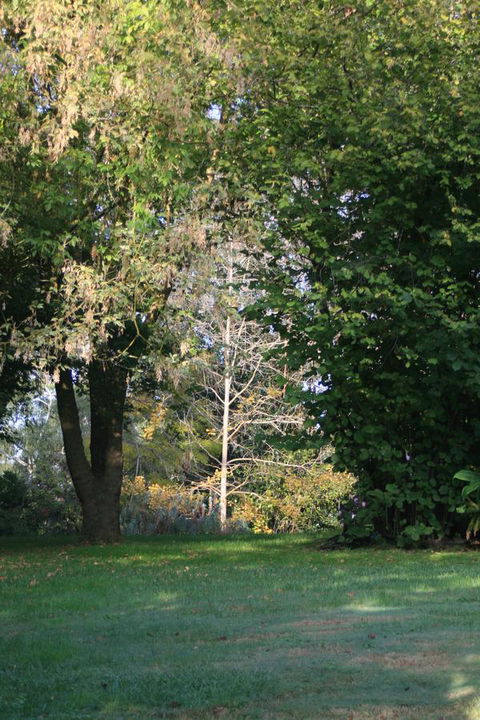 Strathmore Farm B&B - Accommodation Directory 26