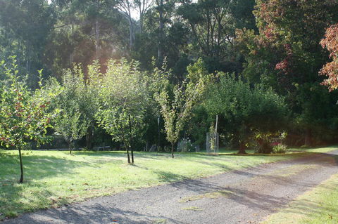 Strathmore Farm B&B - Accommodation Directory 33