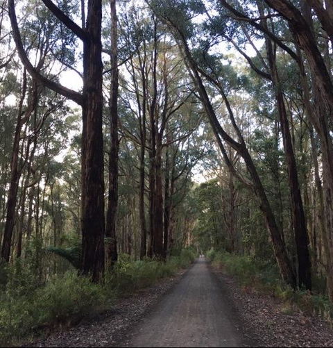 Strathmore Farm B&B - Accommodation Directory 4