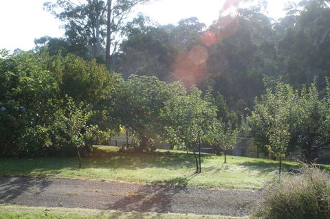 Strathmore Farm B&B - Accommodation Directory 19