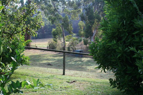 Strathmore Farm B&B - Accommodation Directory 30