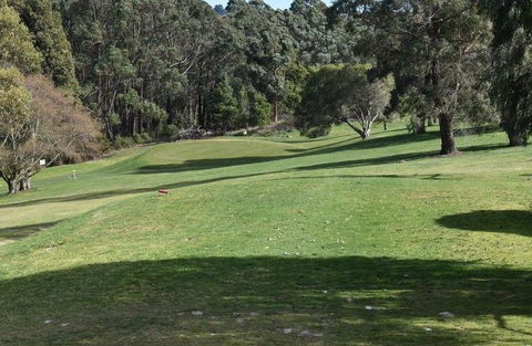 Strathmore Farm B&B - Accommodation Directory 5