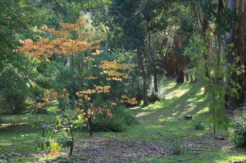 Strathmore Farm B&B - Accommodation Directory 25