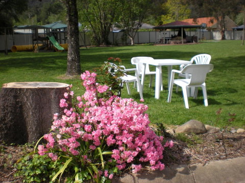 Willow Dene Holiday Apartments - Accommodation Directory 24