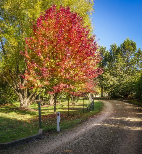 Bright Mystic Valley - Accommodation Directory 23