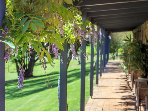 Bright Mystic Valley - Accommodation Directory 22