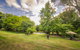 Bright Mystic Valley - thumb 2