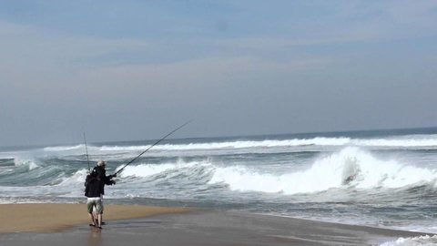 Stunning Waterfront Only 10 Minutes To Phillip Island - FREE EV UNIT 7kW For Electric Cars - Pet Friendly, Fireplace FREE WIFI Wine & Chocolates - Accommodation Directory 5