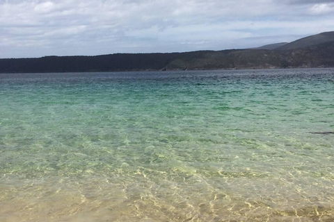 The Cove... On The Rocks At Port Arthur - Accommodation Directory 1