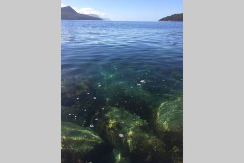 The Cove... On The Rocks At Port Arthur - Accommodation Directory 3