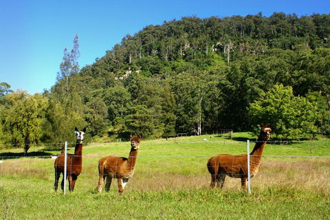The Heavens Mountain Escape - Accommodation Directory 2