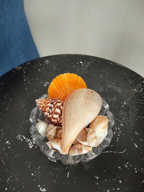 THE QUEENSLANDER MOTEL - Accommodation Directory 3