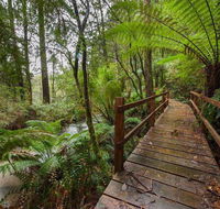 The Source Otways - Accommodation Directory