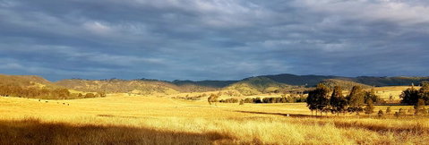The Wattle Lodge - Accommodation Directory 1