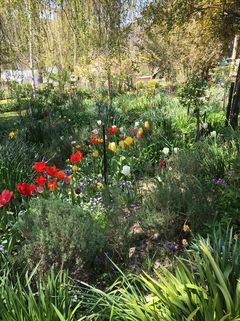 Tiffany's Country Cottages - Accommodation Directory 3