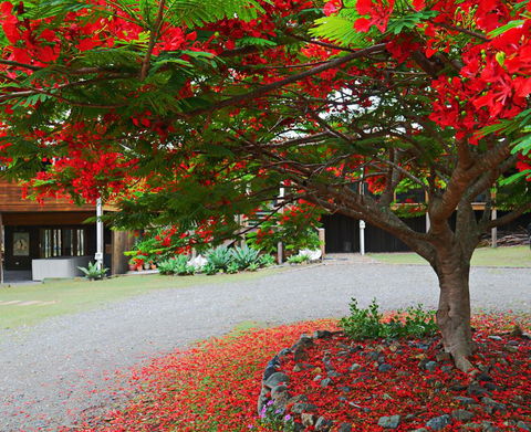 TRANQUILO BEACH HOUSE - Accommodation Directory 2