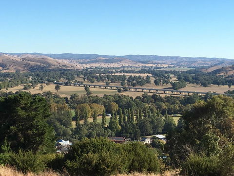 Tuckerbox Motor Inn - Accommodation Directory 3