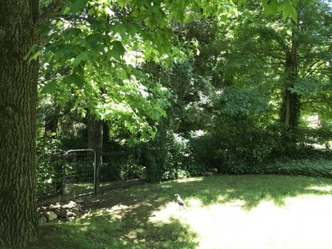 Tyntynder Garden Cottage 4 - Accommodation Directory 2