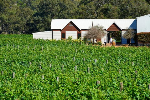 Upper Reach Spa Cottage - Accommodation Directory 0