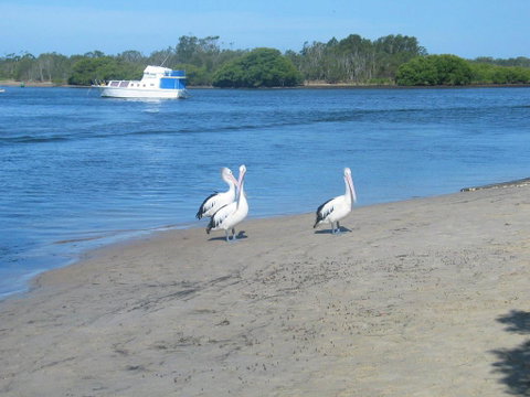 Views To Yaccaba Headland - Accommodation Directory 2