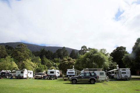 Warburton Holiday Park - Accommodation Directory 0
