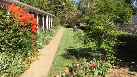 Alpine Aspects - Accommodation Directory 4
