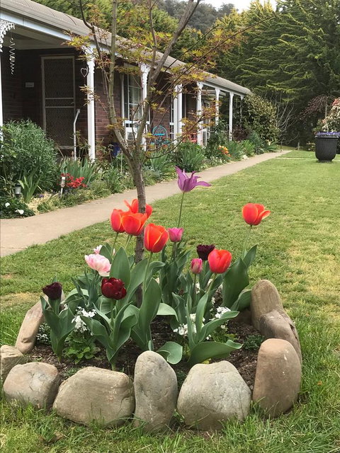 Alpine Aspects - Accommodation Directory 7