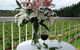 Waybourne- Vineyard And Winery - thumb 10