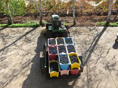 Waybourne- Vineyard And Winery - Accommodation Directory 9