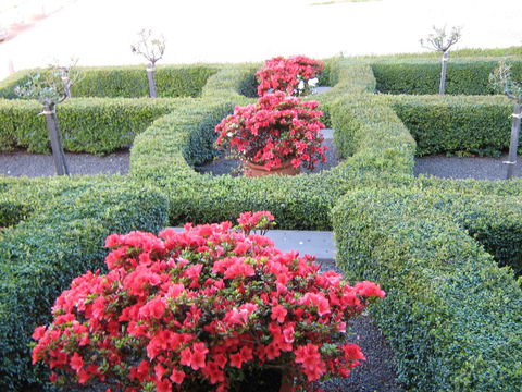 Waybourne- Vineyard And Winery - Accommodation Directory 4