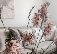 Bed of Roses - Accommodation Directory
