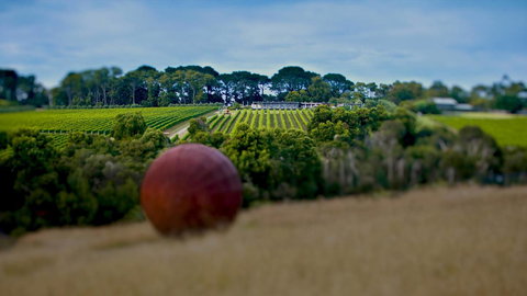 Sunryes Beach House - Accommodation Directory 35