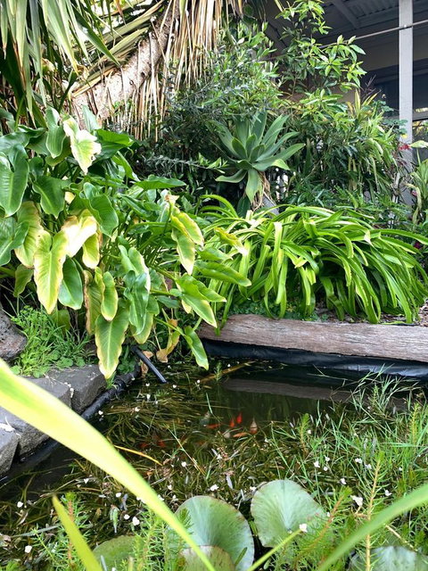 Sunryes Beach House - Accommodation Directory 30