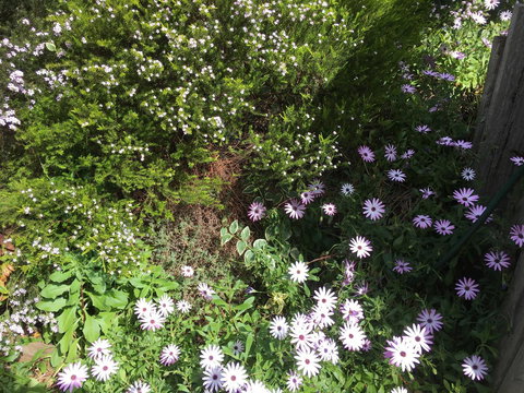 Nest On A Crest - Accommodation Directory 21