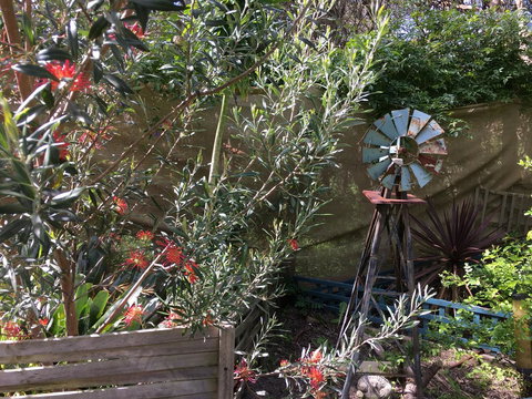 Nest On A Crest - Accommodation Directory 29