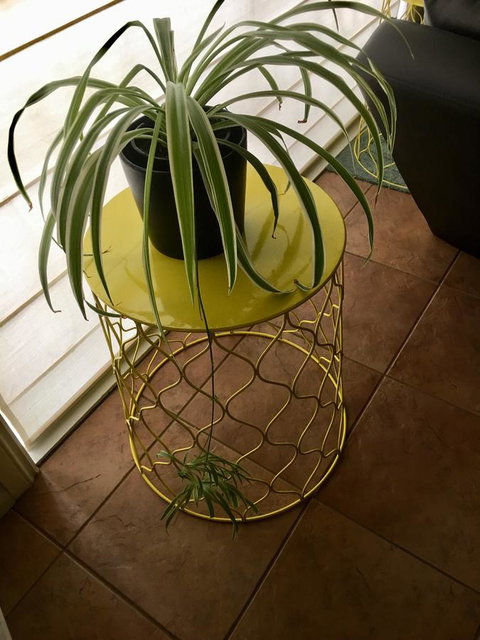 Nest On A Crest - Accommodation Directory 5