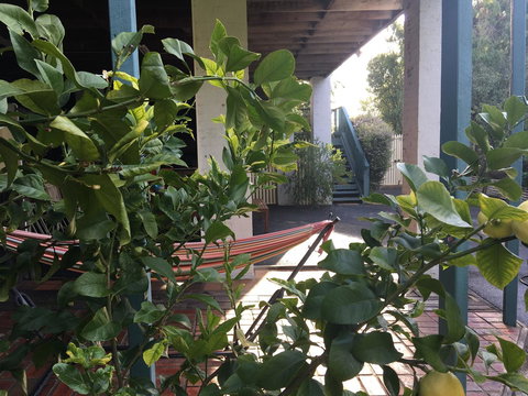 Nest On A Crest - Accommodation Directory 30