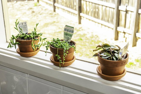 Bacchus Centro - Accommodation Directory 10