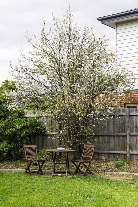 Bacchus Centro - Accommodation Directory 9