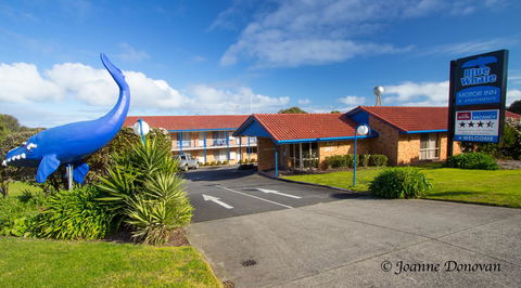 Blue Whale Motor Inn & Apartments - Accommodation Directory 0
