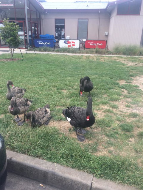 Ambassador Motor Inn - Accommodation Directory 29